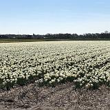 006 Castricum-Heiloo